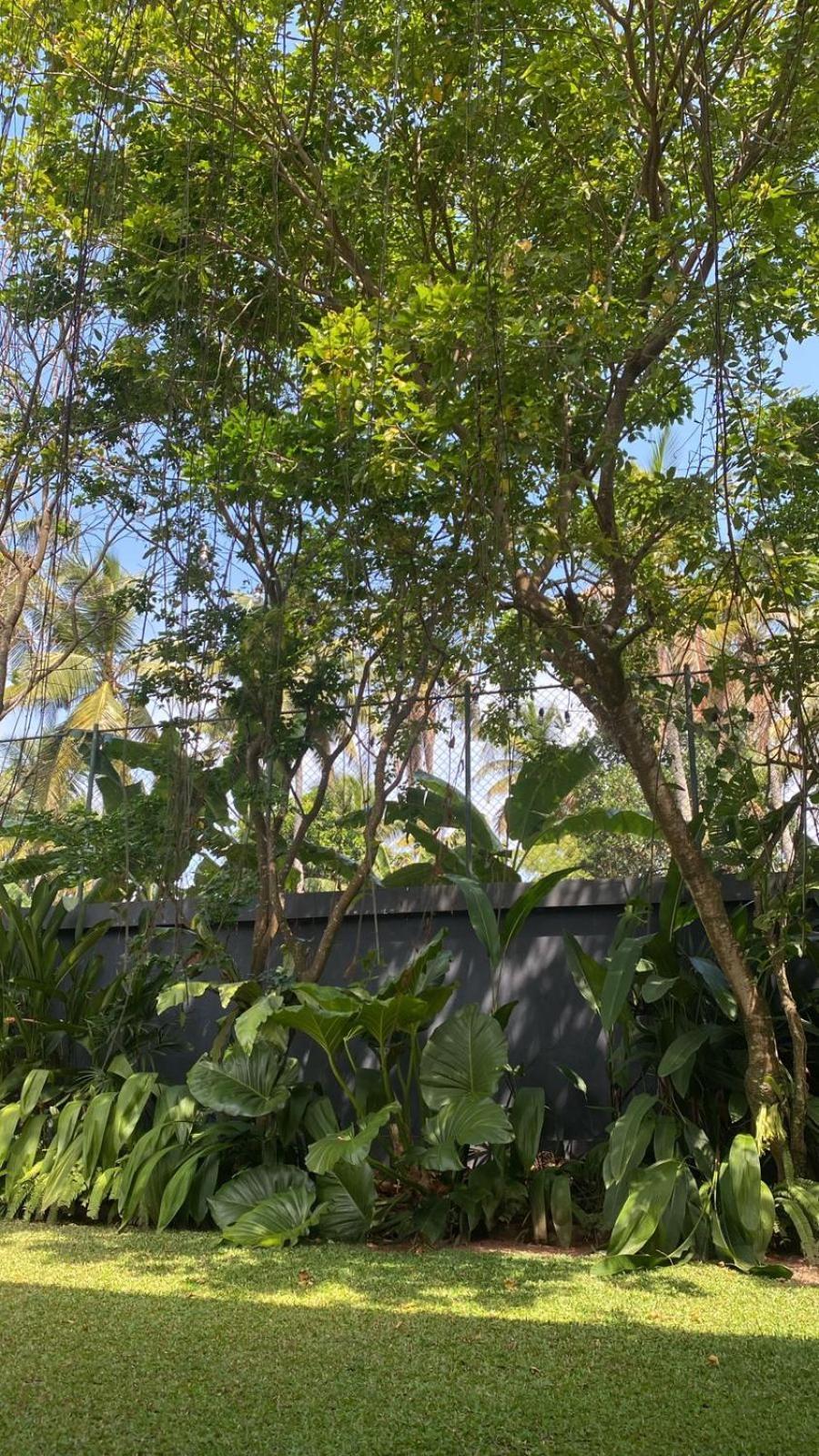 Lush Ayu Villa Ja-Ela Luaran gambar